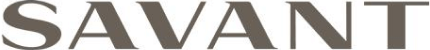 savant